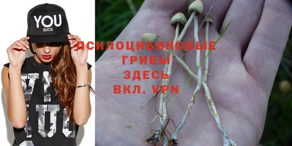mix Саяногорск