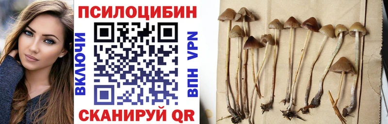 Галлюциногенные грибы мухоморы  Плёс 